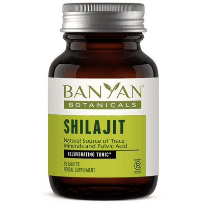 Shilajit Tablets (90 tablets)