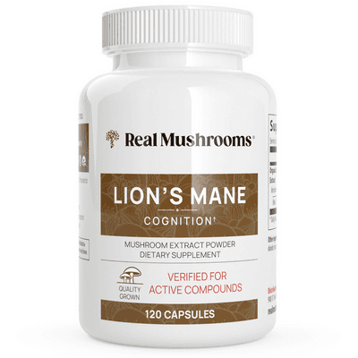 Lion's Mane Extract Capsules (120 capsules)