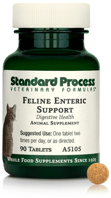 Feline Enteric Support (90 tablets)