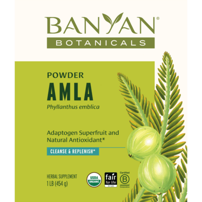Amalaki Fruit Powder, Organic (454 Grams)