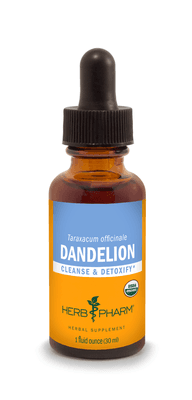 Dandelion (30 Milliliters)