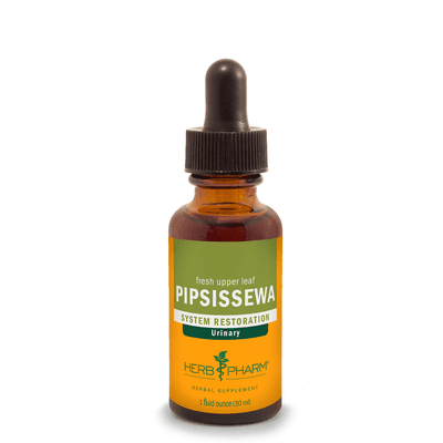 Pipsissewa (30 Milliliters)