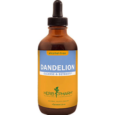 Dandelion Glycerite (120 Milliliters)