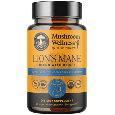 Lion's Mane Blend with Reishi (90 capsules)