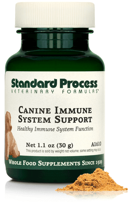 Canine Immune System Support (30 Grams)