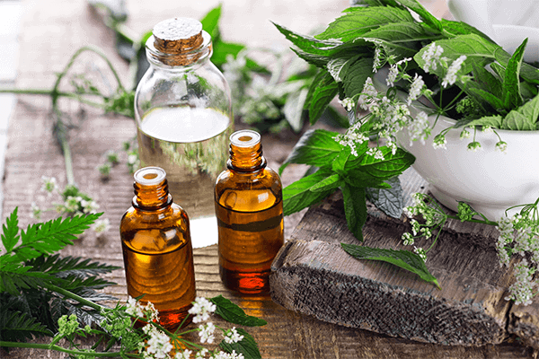 two small essential oil bottles with a larger one in the back and natural herbs