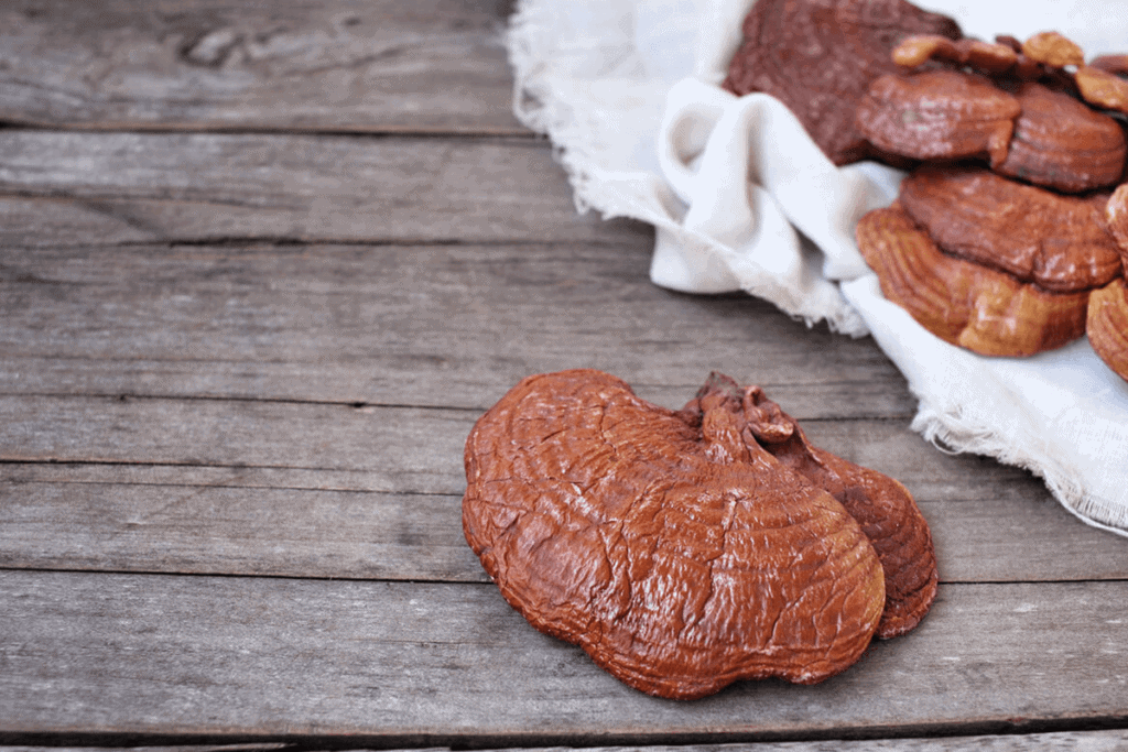 Reishi mushroom on the table