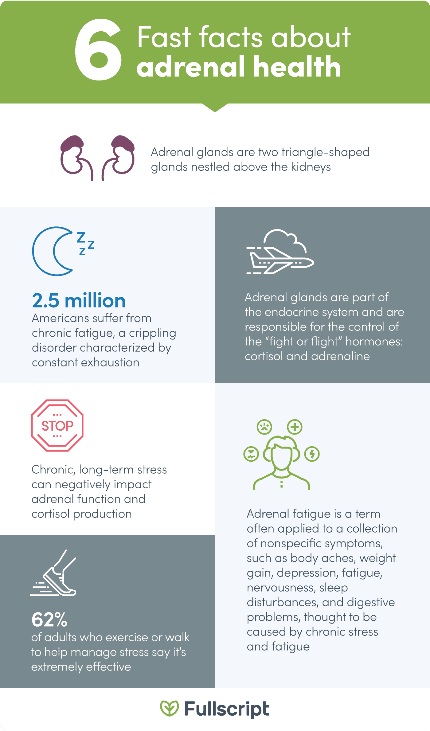 6 facts about adrenal health