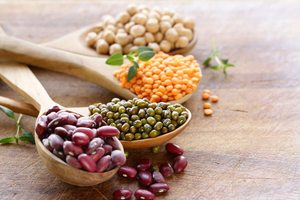 Assortment of legumes 