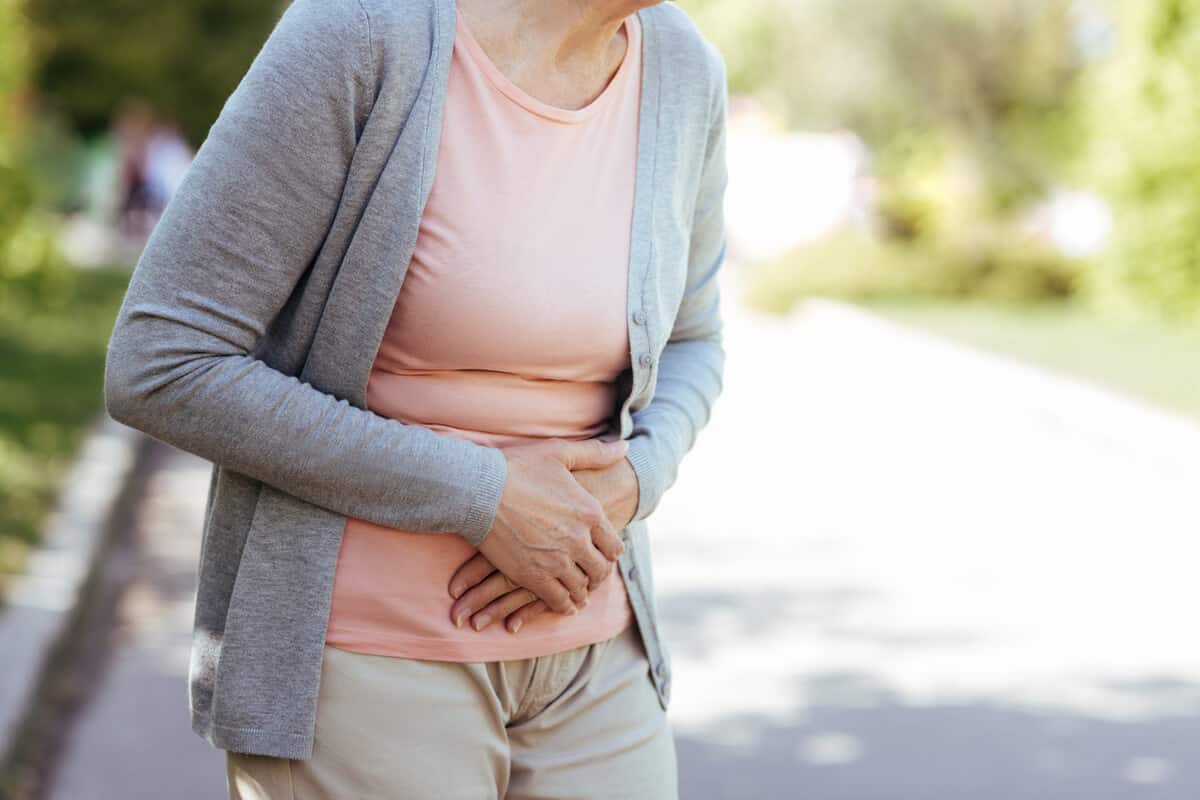 gut health and immune system