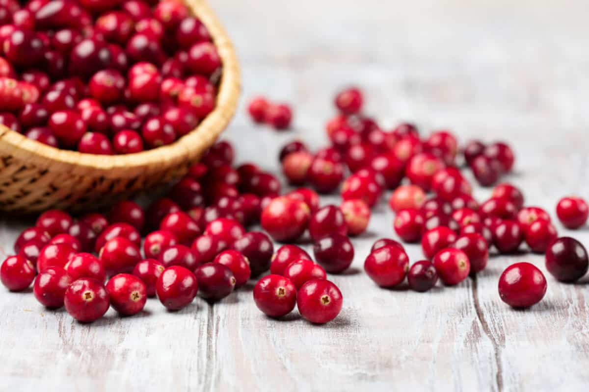 Kidney infection cranberries