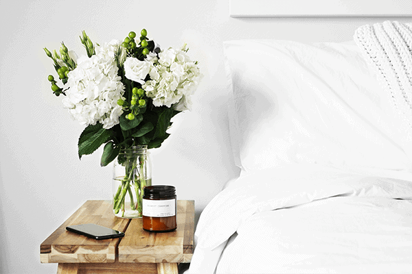 melatonin explained: sleep support supplement blog post