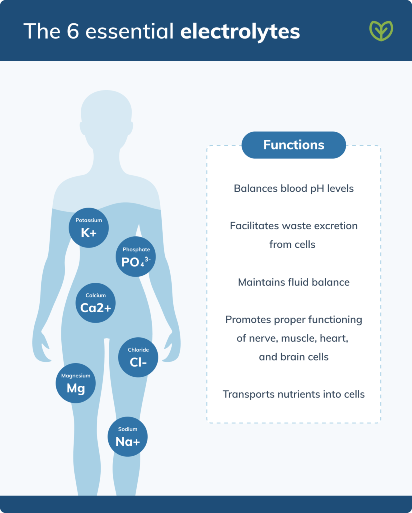 6 essential electrolytes chart