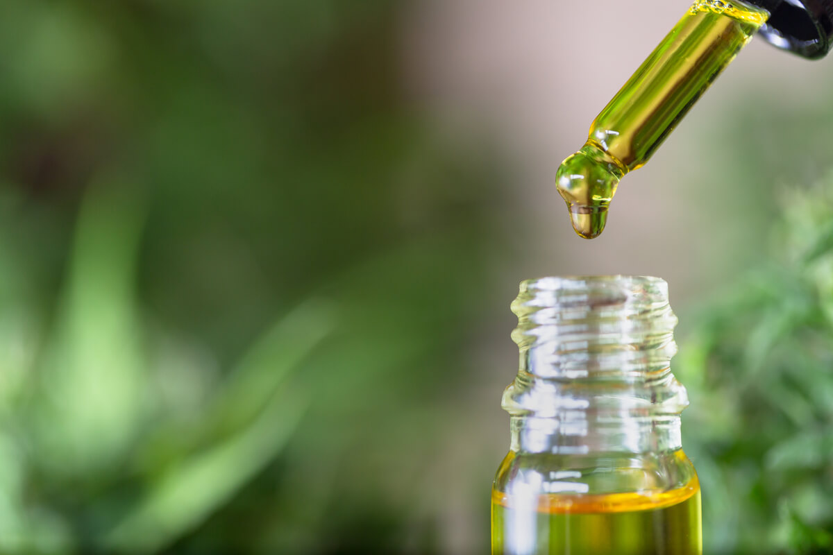 supplements for the endocannabinoid system