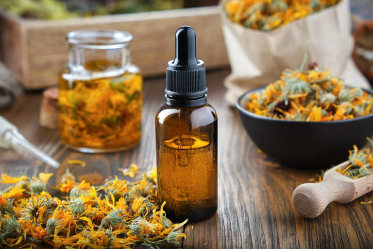 what is integrative medicine?: the past, present, and future blog post