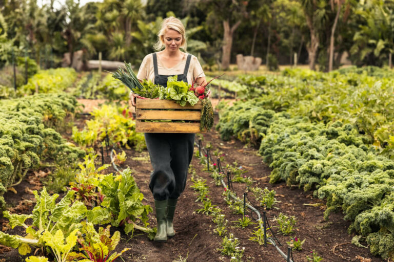 simple solutions for how to reduce your carbon footprint blog post