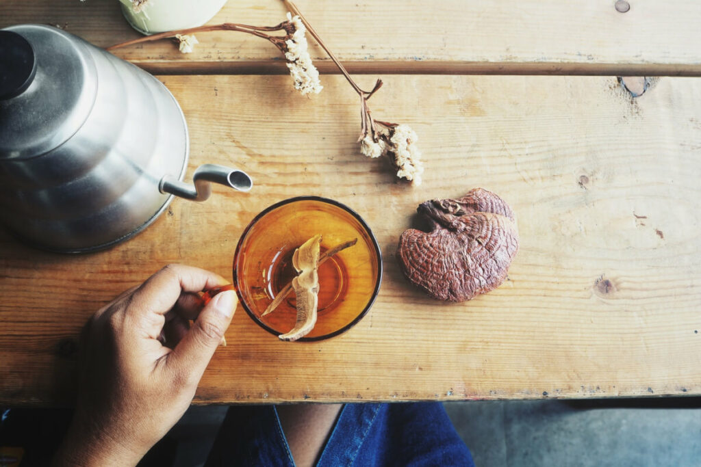 medicinal mushroom tea