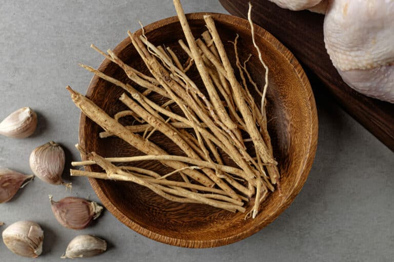 astragalus benefits: immunity, kidney health, and more blog post