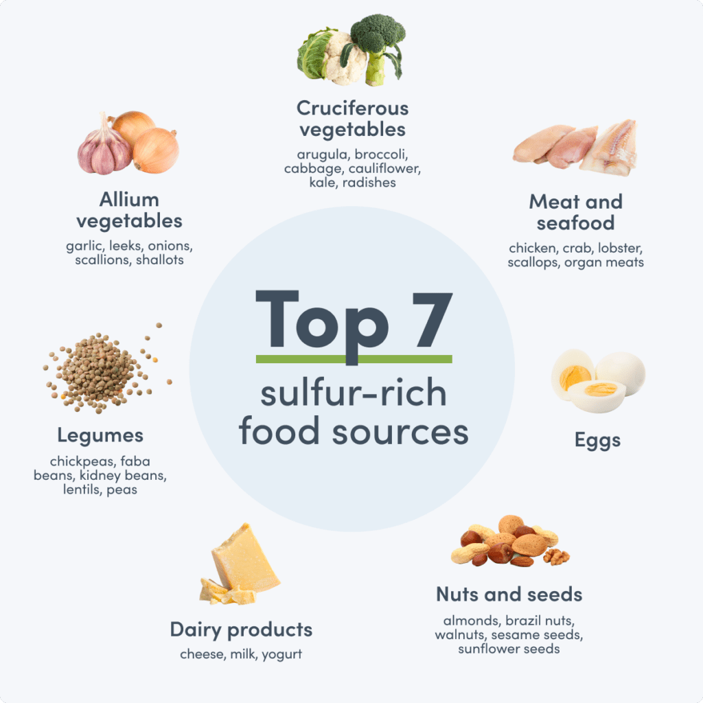 sulfur rich food sources chart
